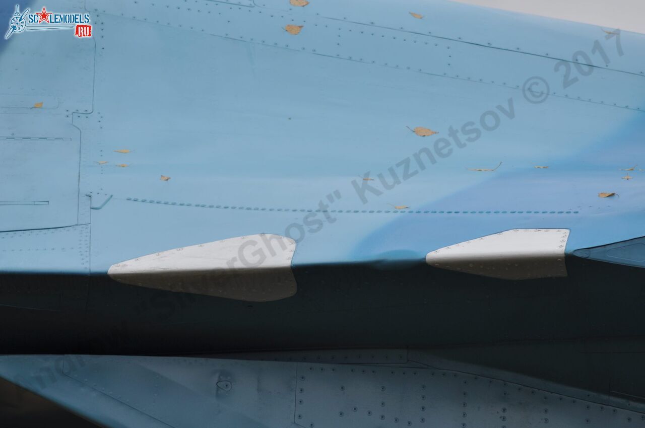 Sukhoi_T-20-10_105.jpg