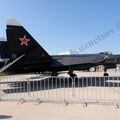 Su-47_Berkut_12.jpg