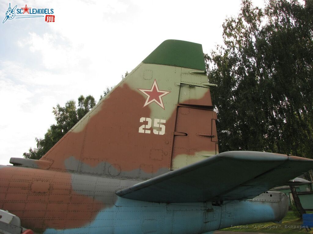 IMG_38_Su-25 Borovaya
