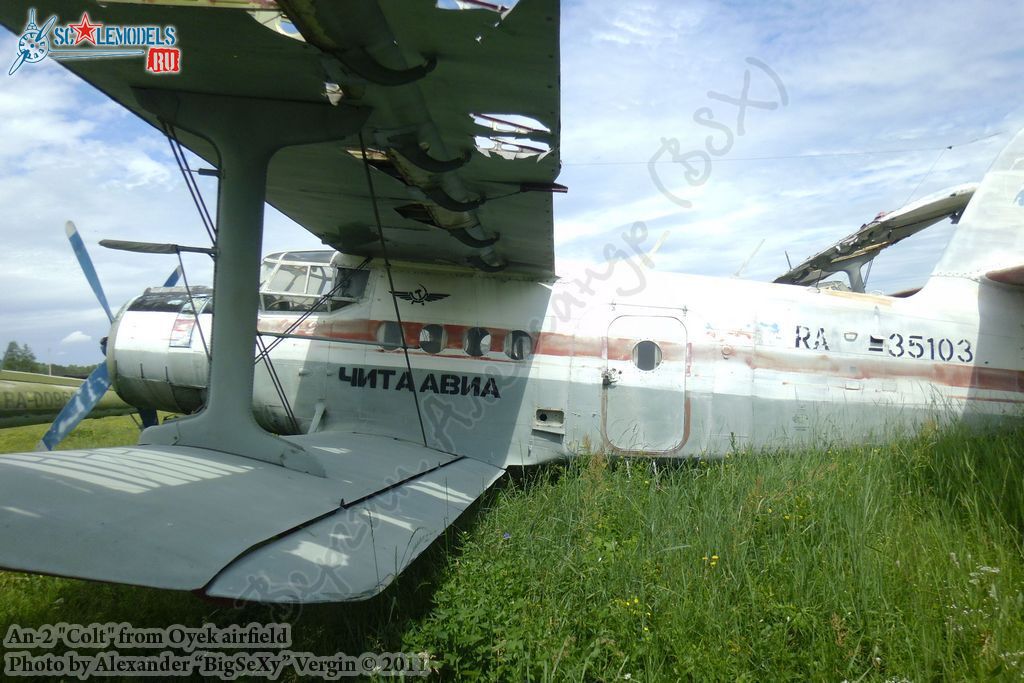 An-2 (RA-35103)_Oyek_018