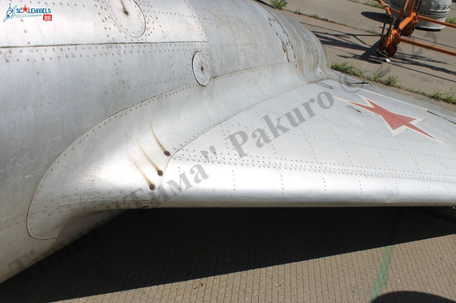 MiG-17_Patriot_100.jpg
