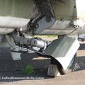 IMG_8138.jpg