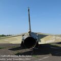 IMG_8146.jpg