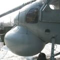 Ka-25Ts_Hormone_0427.jpg