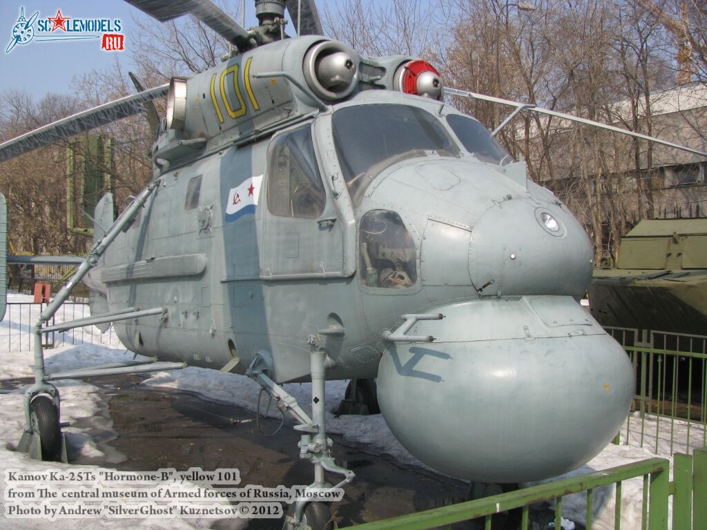 Ka-25Ts_Hormone_0002.jpg