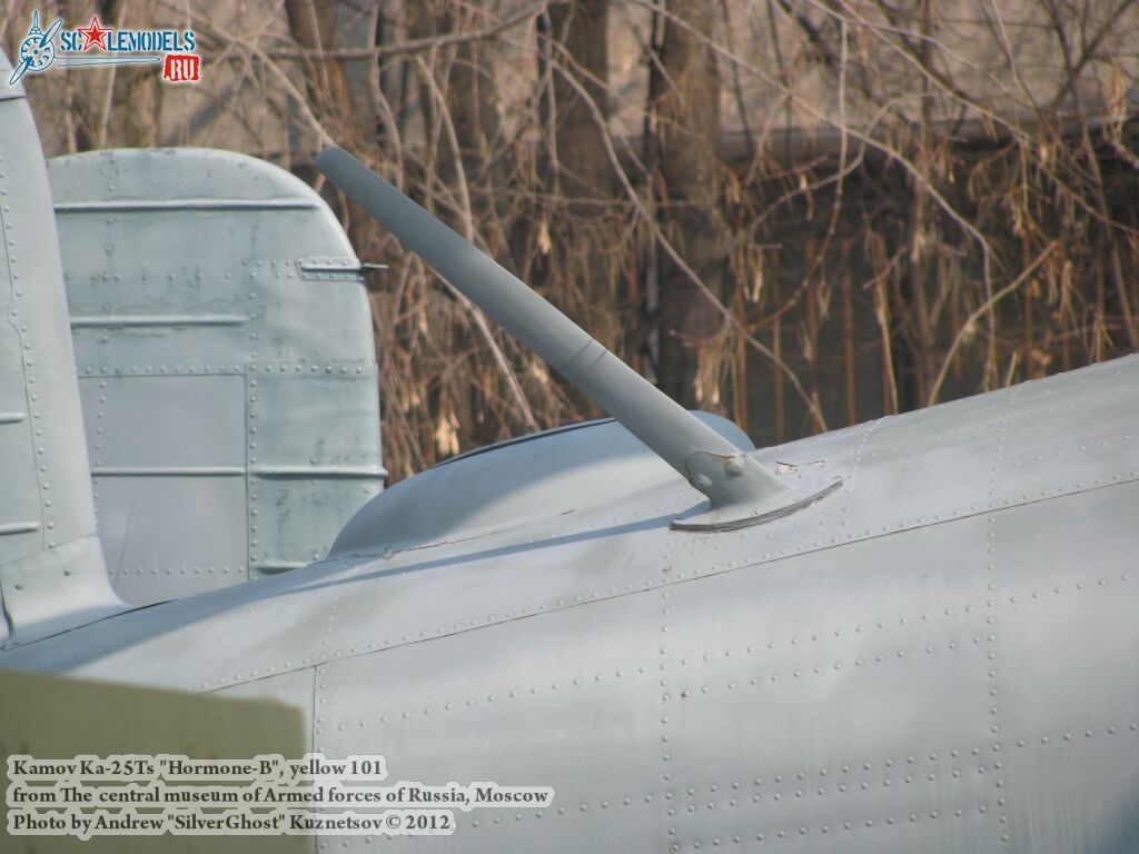 Ka-25Ts_Hormone_0033.jpg