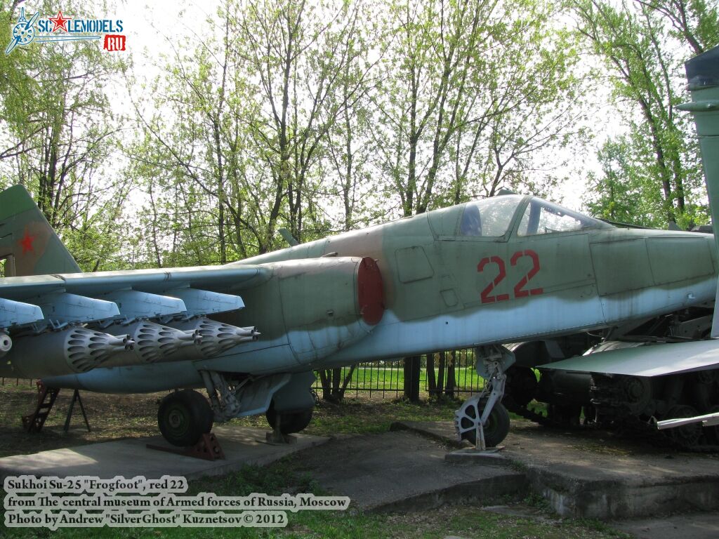 Su-25_Frogfoot_0002.jpg