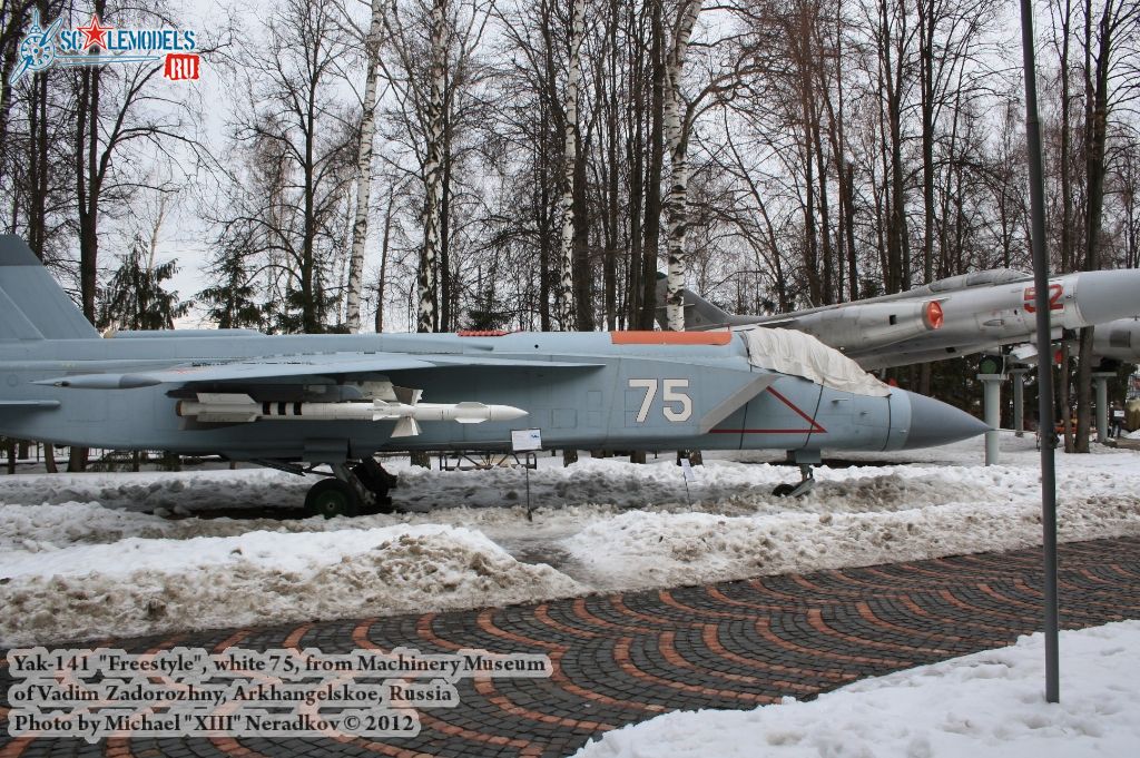 Yak-141_Freestyle_0002.jpg