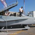 McDonnell Douglas CF-18B (CF-188B) Hornet, Canadian National Exhibition and Canadian Forces Display, Toronto, Canada