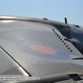 Harrier_GR3_0026.jpg