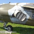 Harrier_GR3_0038.jpg