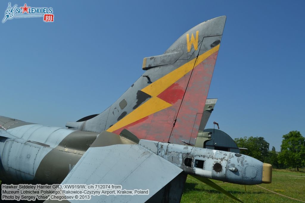 Harrier_GR3_0030.jpg