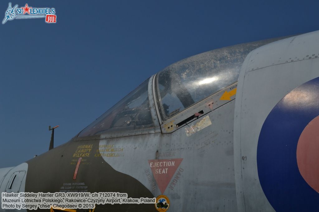 Harrier_GR3_0040.jpg