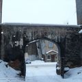 Walkaround Winter view of decayed yard