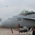 Walkaround McDonnell Douglas F/A-18D Hornet