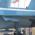 Su-30M2_Flanker-C_0009.jpg