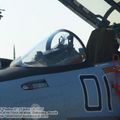 Su-35S_Flanker-E_0015.jpg