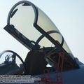 Su-35S_Flanker-E_0016.jpg