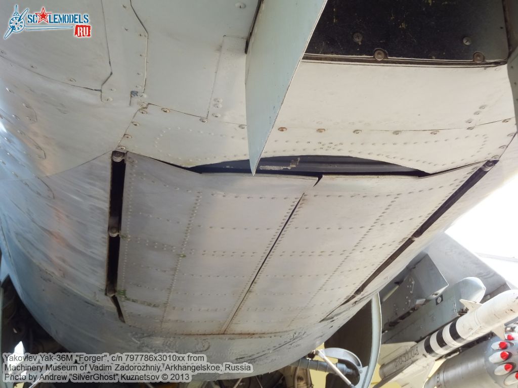 Yak-36M_Forger_0021.jpg