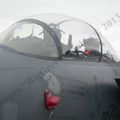 F-15E Strike Eagle (28).JPG