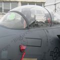 F-15E Strike Eagle (30).JPG