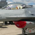 F-16C Fighting Falcon (13).JPG