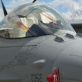 F-16C Fighting Falcon (17).JPG