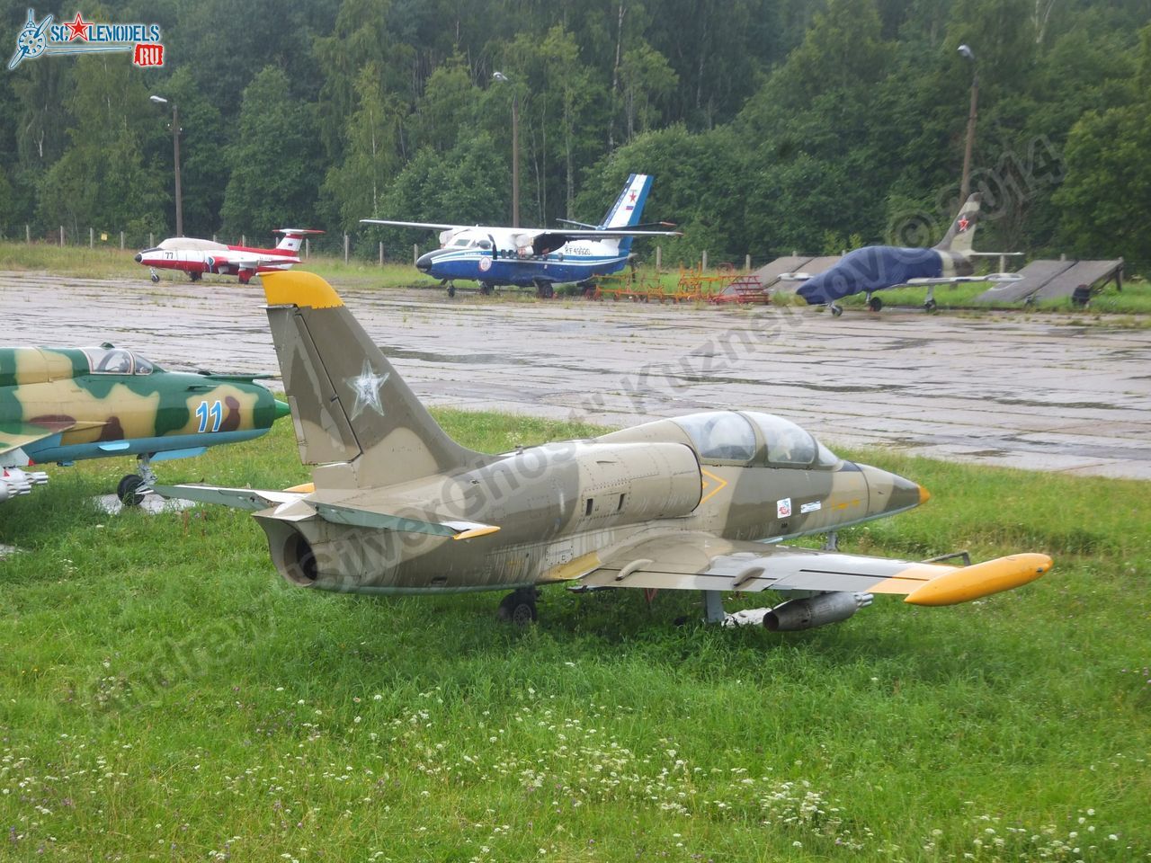 L-39_Albatros_120_0002.jpg