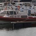 Walkaround BL-820 boat
