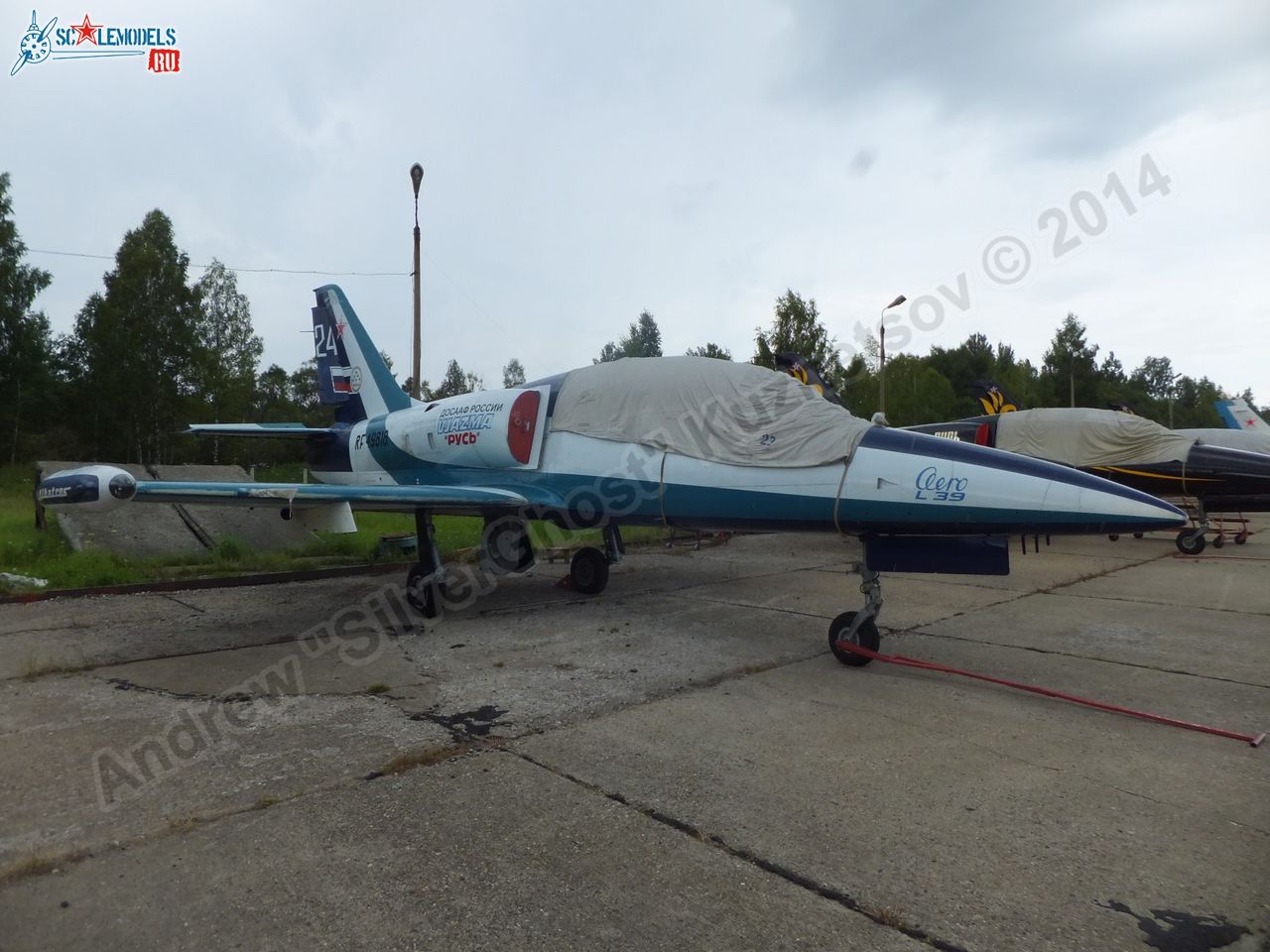 L-39_Albatros_RF-49818_0003.jpg