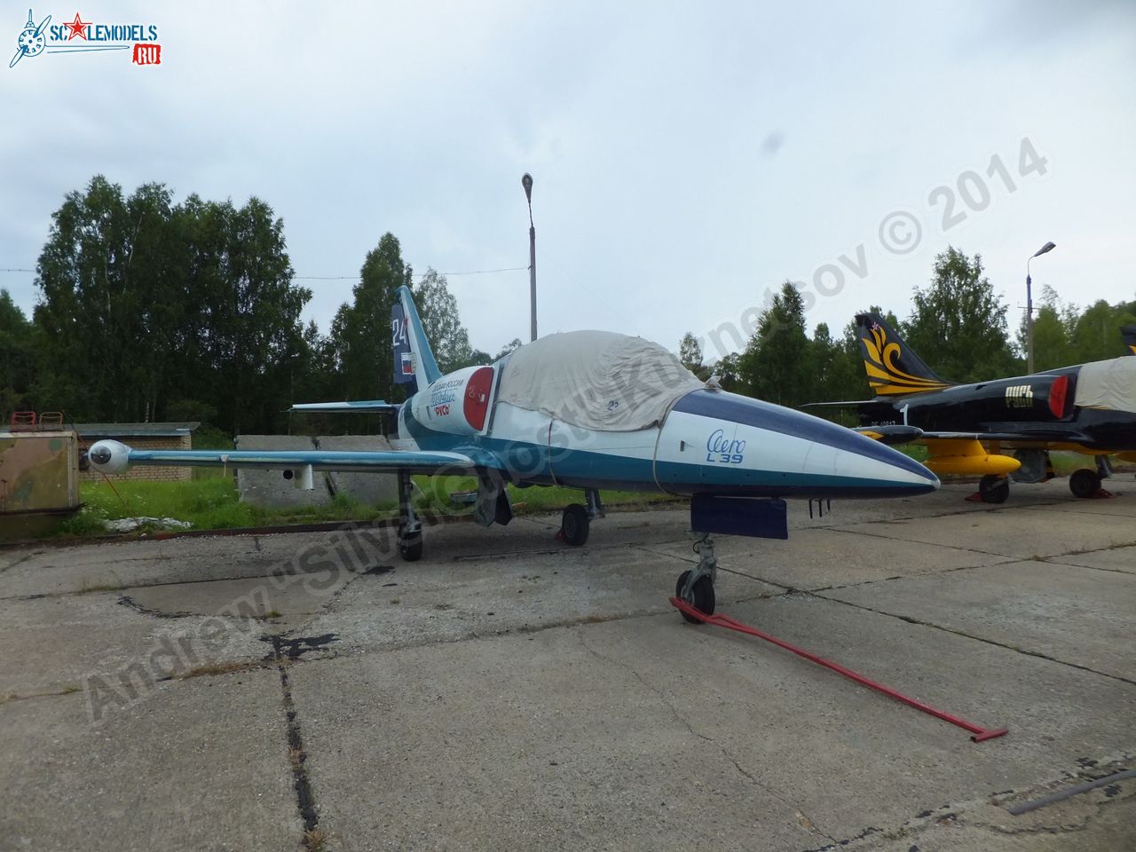 L-39_Albatros_RF-49818_0004.jpg