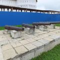 Walkaround Istra old guns