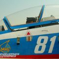MiG-AT_81_13.jpg
