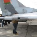 132_MiG-29_17.jpg
