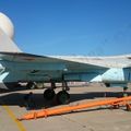 MiG_1.44_wheel_bays_26.jpg