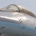 MiG_1.44_ATF_Flatpack_136.jpg