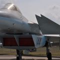 MiG_1.44_ATF_Flatpack_143.jpg
