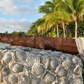 Пушки 16-пушечного торгового фрегата Nuestra Se?ora de los Milagros, Akumal Bay, Tulum, штат Quintana Roo, Mexico
