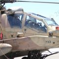 AH-64D_18.jpg