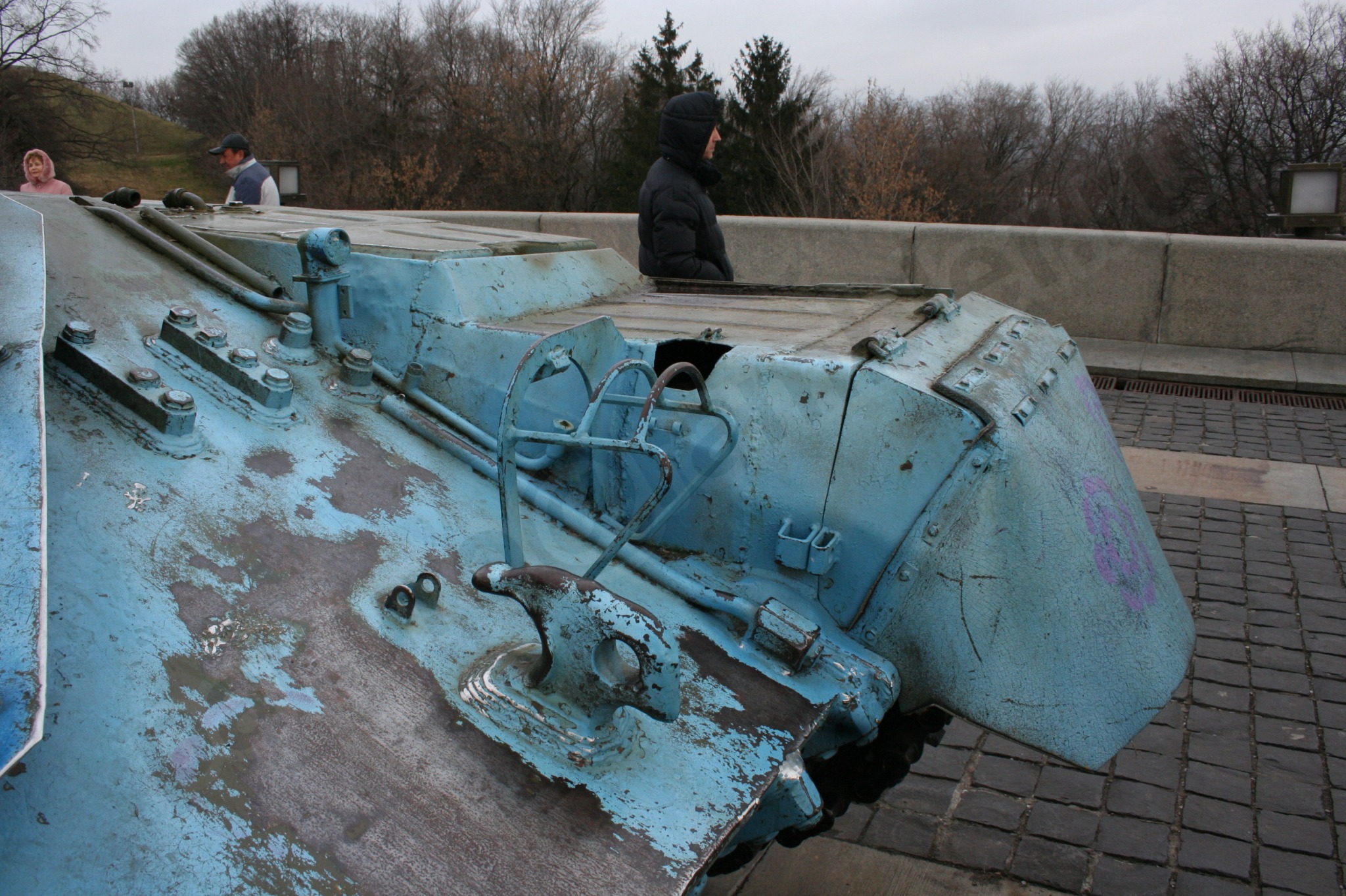 19.jpg