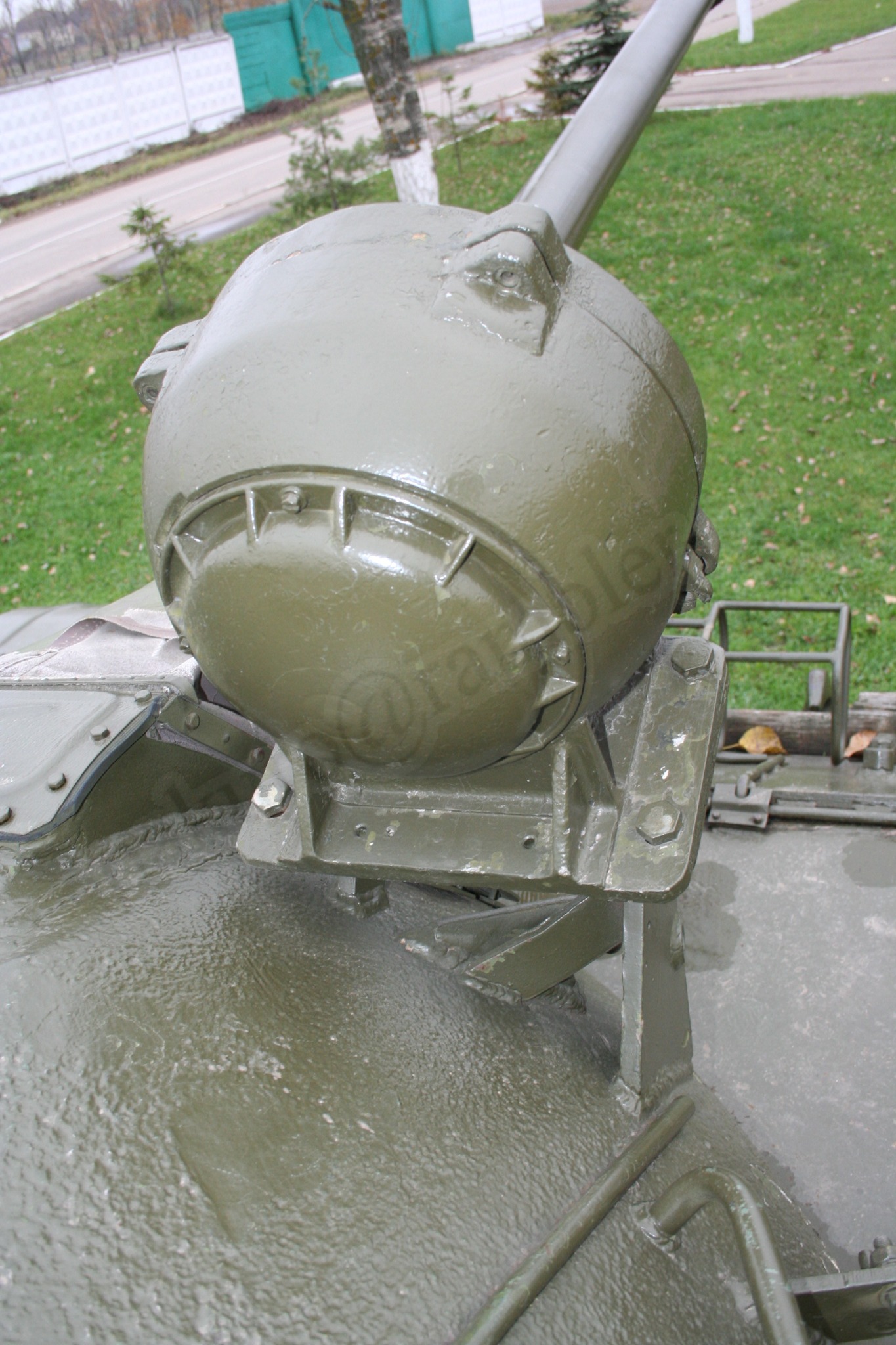 164.jpg