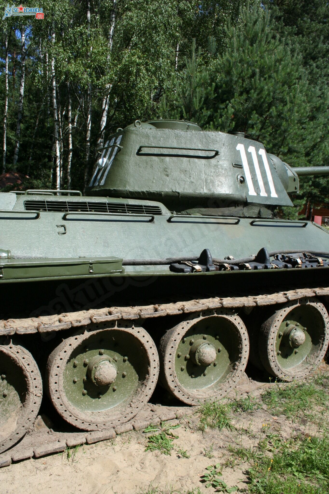 57.jpg