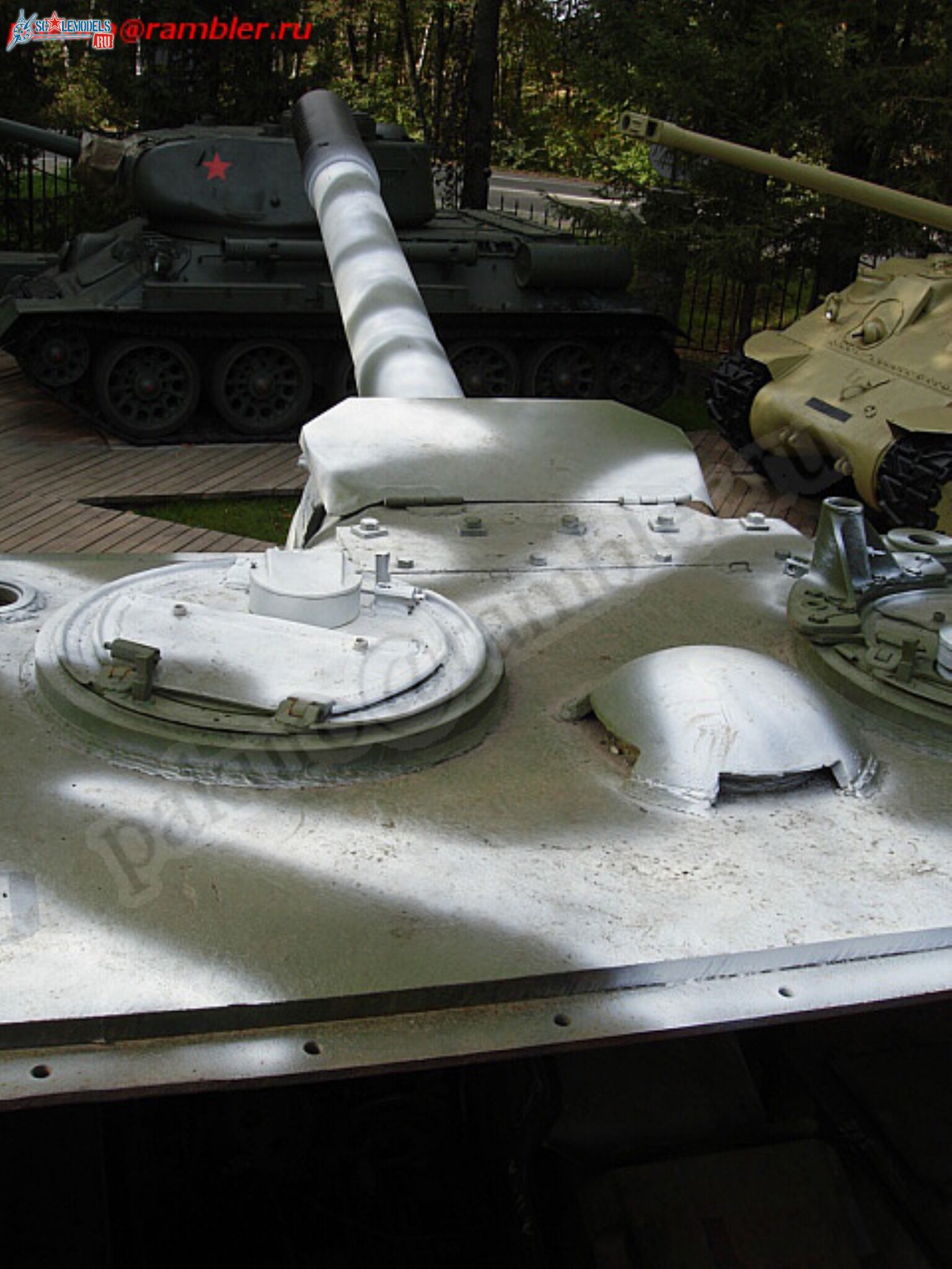 191.jpg