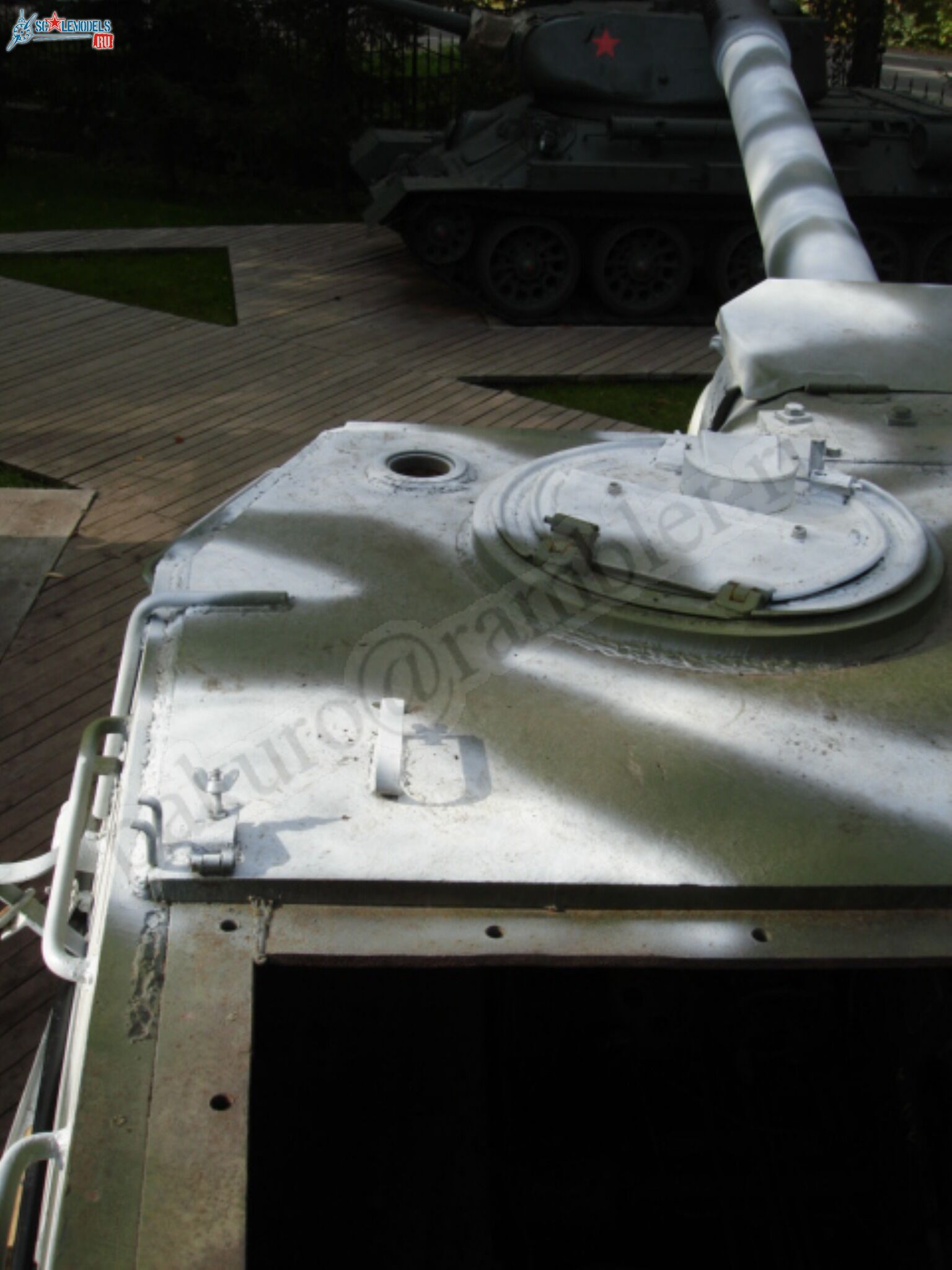 98.jpg