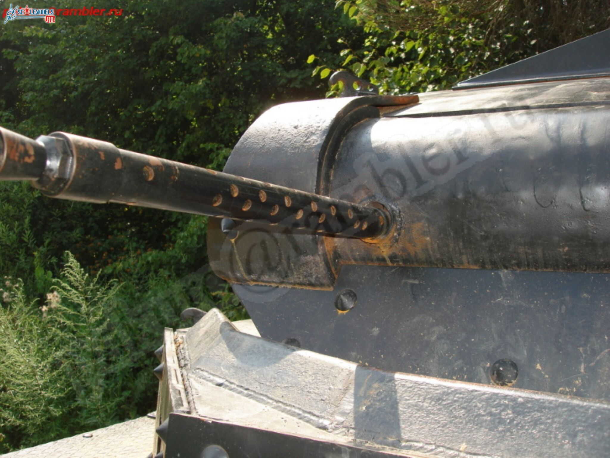 115.jpg