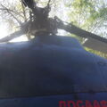 DSCF0480.JPG