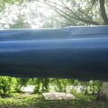DSCF0489 (2)