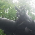 DSCF0569
