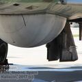 Resize of IMG_3737.JPG