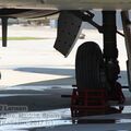 Resize of IMG_3738.JPG
